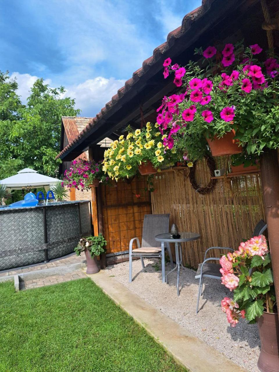 Vila Harmonia Turčianske Teplice Екстериор снимка